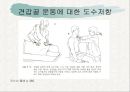 견관절과 견갑대 53페이지