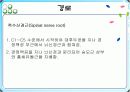 제 XI.뇌신경 Accessory nerve 7페이지