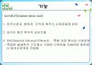 제 XI.뇌신경 Accessory nerve 9페이지