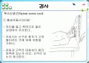 제 XI.뇌신경 Accessory nerve 15페이지
