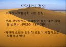 사막화와 그 피해  3페이지
