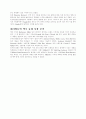후발 기업의 마케팅 전략  5페이지
