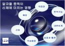 알코올 중독 7페이지
