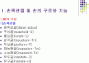 손목관절과 손 2페이지