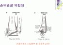 손목관절과 손 11페이지