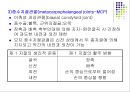손목관절과 손 23페이지
