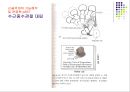 손목관절과 손 26페이지
