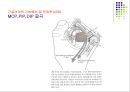 손목관절과 손 33페이지