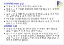 손목관절과 손 36페이지