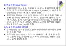 손목관절과 손 39페이지