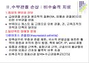 손목관절과 손 46페이지