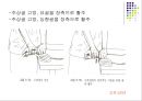 손목관절과 손 53페이지