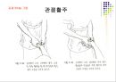 손목관절과 손 55페이지