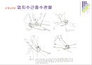 손목관절과 손 59페이지