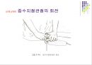 손목관절과 손 61페이지