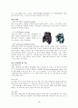 스킨스쿠버 13페이지