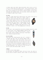스킨스쿠버 19페이지