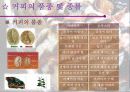 커피의 기원과 커피에 대한 이야기들 9페이지