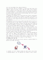 [구글] 구글의 성공전략 7페이지