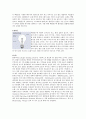 LED 특성 및 제조 과정 및 구동 회로 3페이지