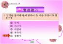 모든 순간이 꽃봉오리인 것을 ppt  13페이지