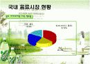 [유통관리론]국내 음료시장 현황 및 '롯데칠성' 유통전략 분석(A+리포트) 13페이지