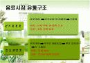 [유통관리론]국내 음료시장 현황 및 '롯데칠성' 유통전략 분석(A+리포트) 14페이지