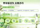 [유통관리론]국내 음료시장 현황 및 '롯데칠성' 유통전략 분석(A+리포트) 17페이지