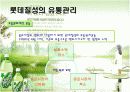 [유통관리론]국내 음료시장 현황 및 '롯데칠성' 유통전략 분석(A+리포트) 18페이지