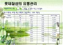 [유통관리론]국내 음료시장 현황 및 '롯데칠성' 유통전략 분석(A+리포트) 20페이지