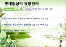 [유통관리론]국내 음료시장 현황 및 '롯데칠성' 유통전략 분석(A+리포트) 21페이지
