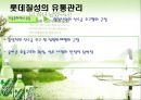 [유통관리론]국내 음료시장 현황 및 '롯데칠성' 유통전략 분석(A+리포트) 22페이지