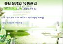 [유통관리론]국내 음료시장 현황 및 '롯데칠성' 유통전략 분석(A+리포트) 23페이지