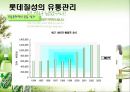 [유통관리론]국내 음료시장 현황 및 '롯데칠성' 유통전략 분석(A+리포트) 24페이지