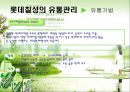 [유통관리론]국내 음료시장 현황 및 '롯데칠성' 유통전략 분석(A+리포트) 27페이지