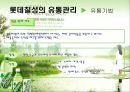 [유통관리론]국내 음료시장 현황 및 '롯데칠성' 유통전략 분석(A+리포트) 28페이지