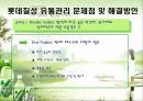 [유통관리론]국내 음료시장 현황 및 '롯데칠성' 유통전략 분석(A+리포트) 32페이지