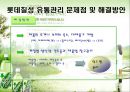 [유통관리론]국내 음료시장 현황 및 '롯데칠성' 유통전략 분석(A+리포트) 35페이지
