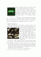 현대건축 표면의 창발 5페이지