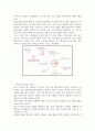 CRM이론 및 성공과 실패사례 16페이지