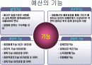 [재무행정]예산회계제도 3페이지
