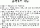 골격계의 해부생리와 병리 및 골다공증 4페이지