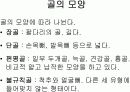 골격계의 해부생리와 병리 및 골다공증 5페이지