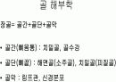 골격계의 해부생리와 병리 및 골다공증 7페이지