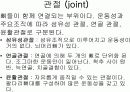 골격계의 해부생리와 병리 및 골다공증 9페이지