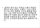 골격계의 해부생리와 병리 및 골다공증 23페이지