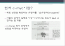 NCBI와 UCSC로 검색하기 2페이지