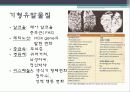 발생 생물학의 의학적 응용 4페이지