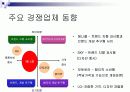Anycall-컨설팅방법론 12페이지
