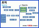 e-sports, sports 비교 분석 14페이지